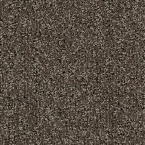 Coral Classic standaard mat 90 x 155 cm 4701 Anthracite